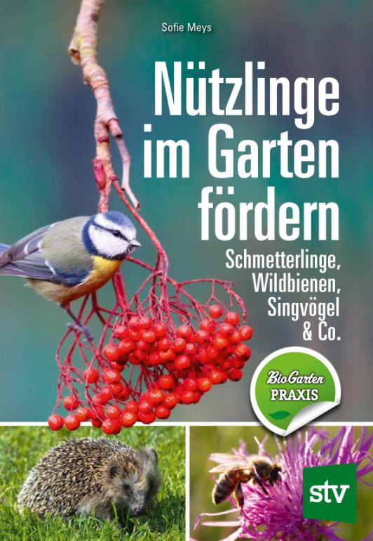 Nützlinge im Garten fördern bienennachrichten.de